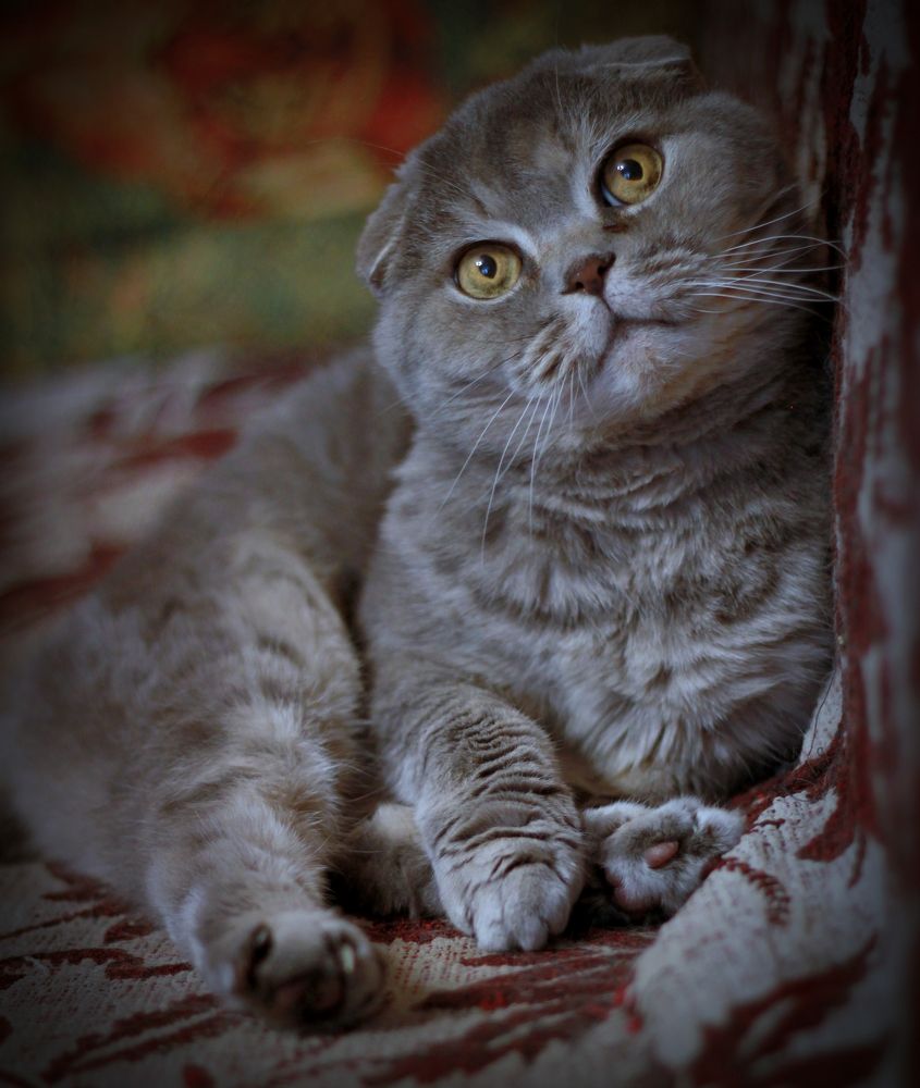 Photograph by Илья Бегунов