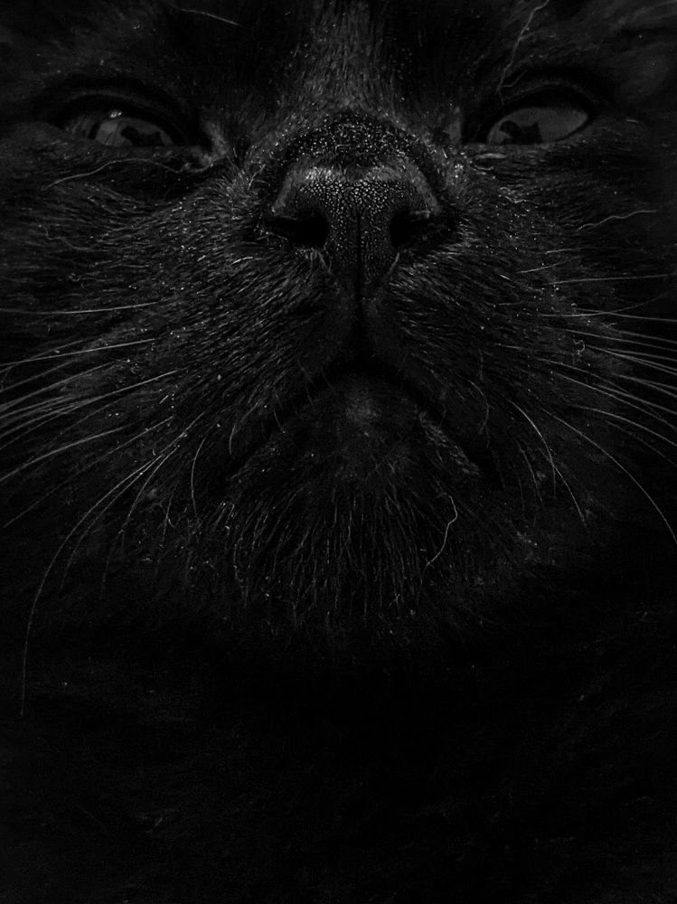 Photograph by Георгий Акопджанов