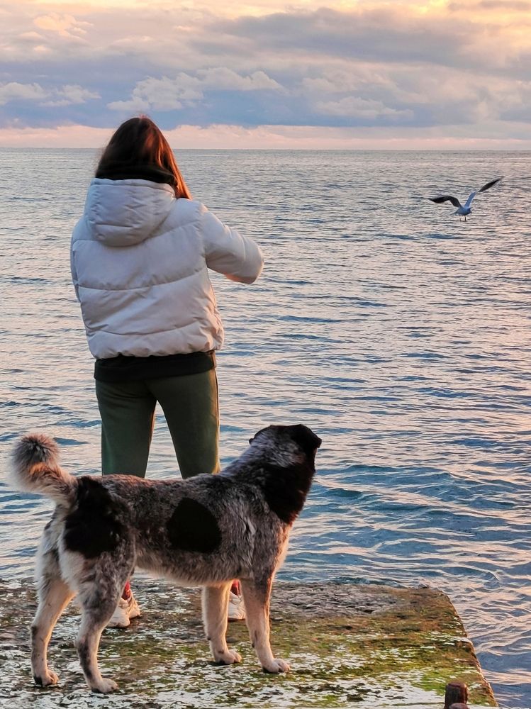 Photograph by Антонина Владимировна Завальнюк