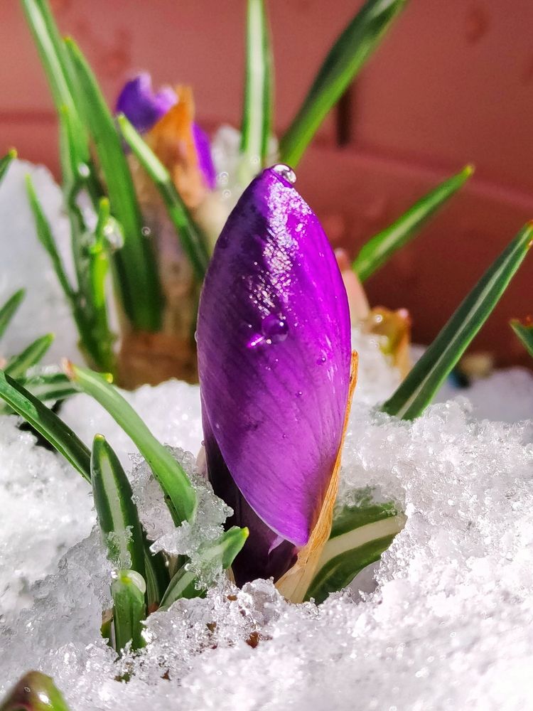 Photograph by Антонина Владимировна Завальнюк