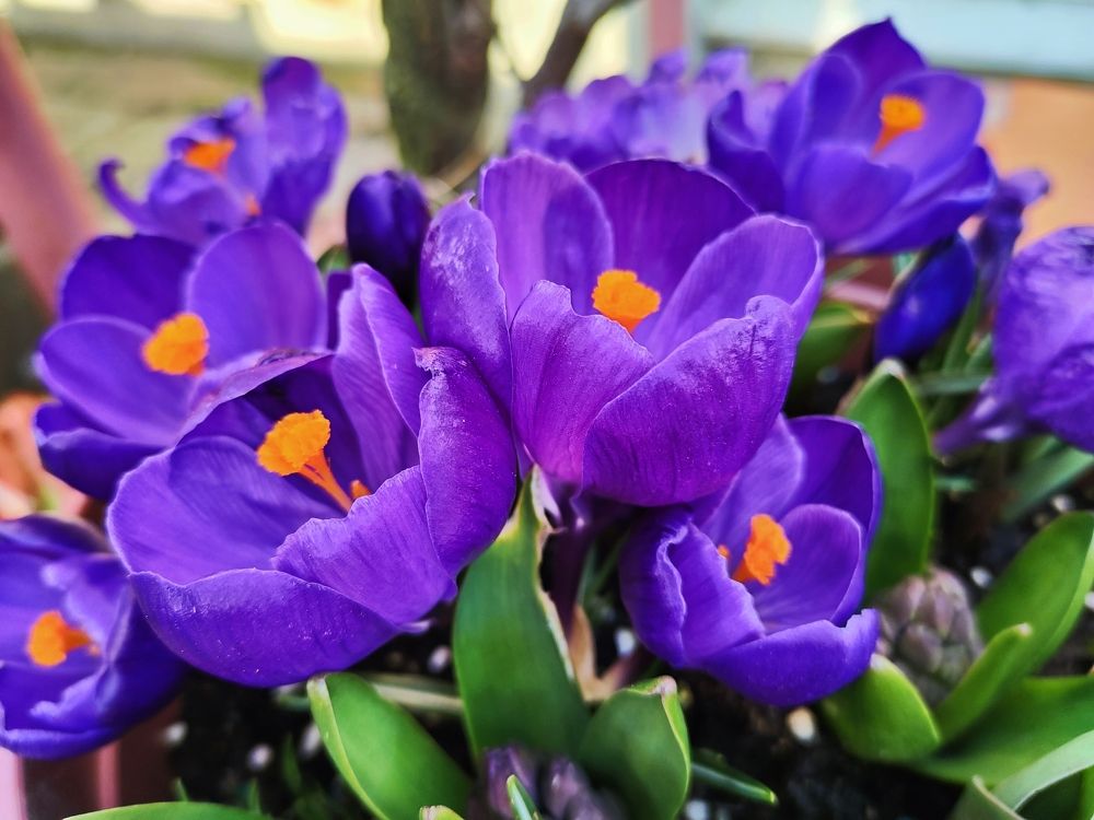 Photograph by Антонина Владимировна Завальнюк