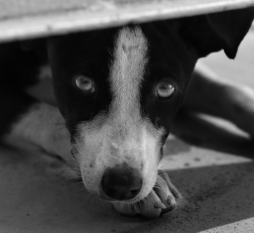 Photograph by PARTHA KUNDU