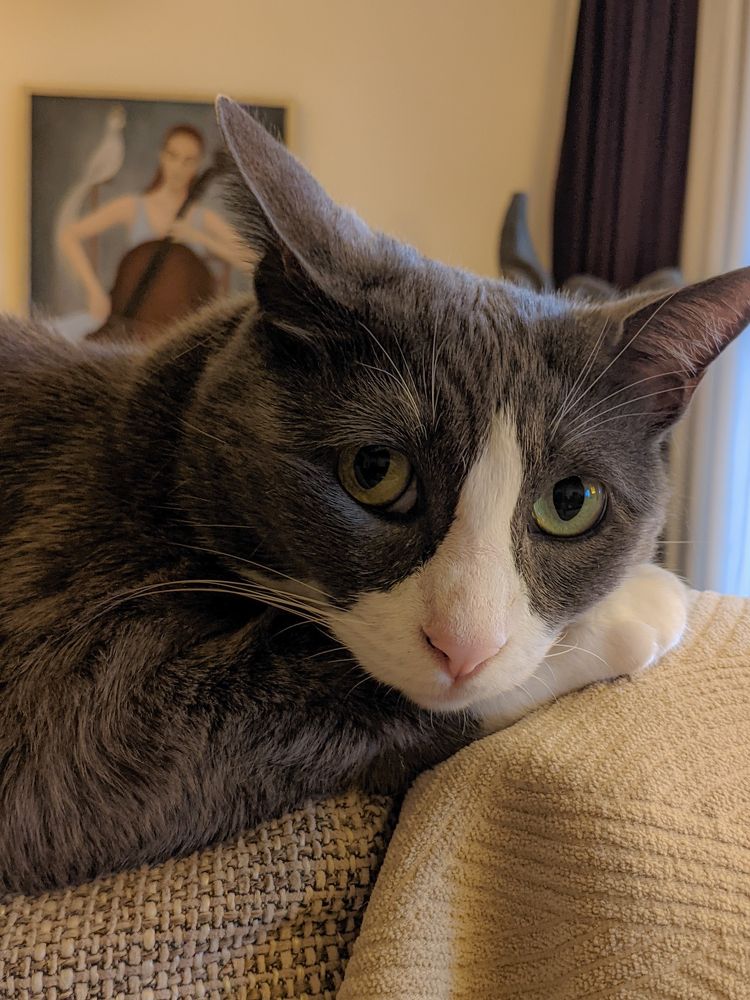 Photograph by Георгий Акопджанов