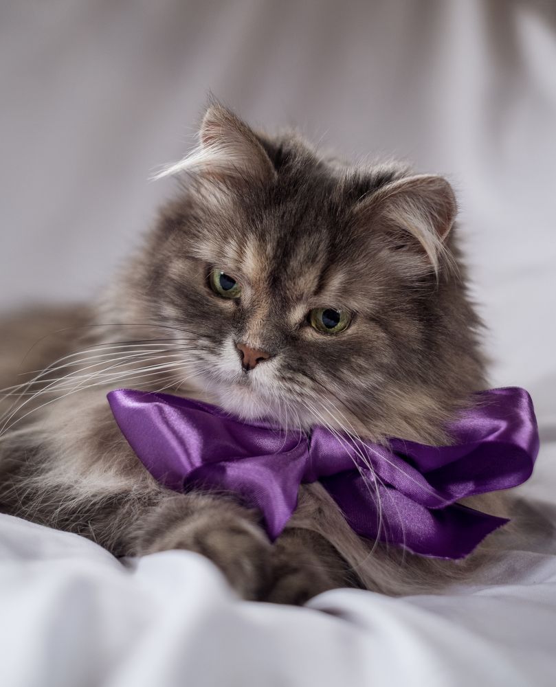 Photograph by Светлана Михеева