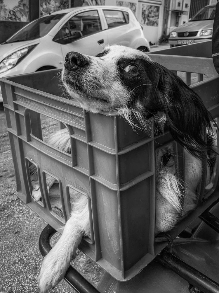 Photograph by Георгий Акопджанов