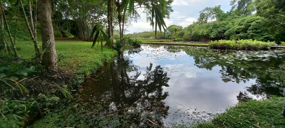 Photograph by Thilantha Abeysinghe
