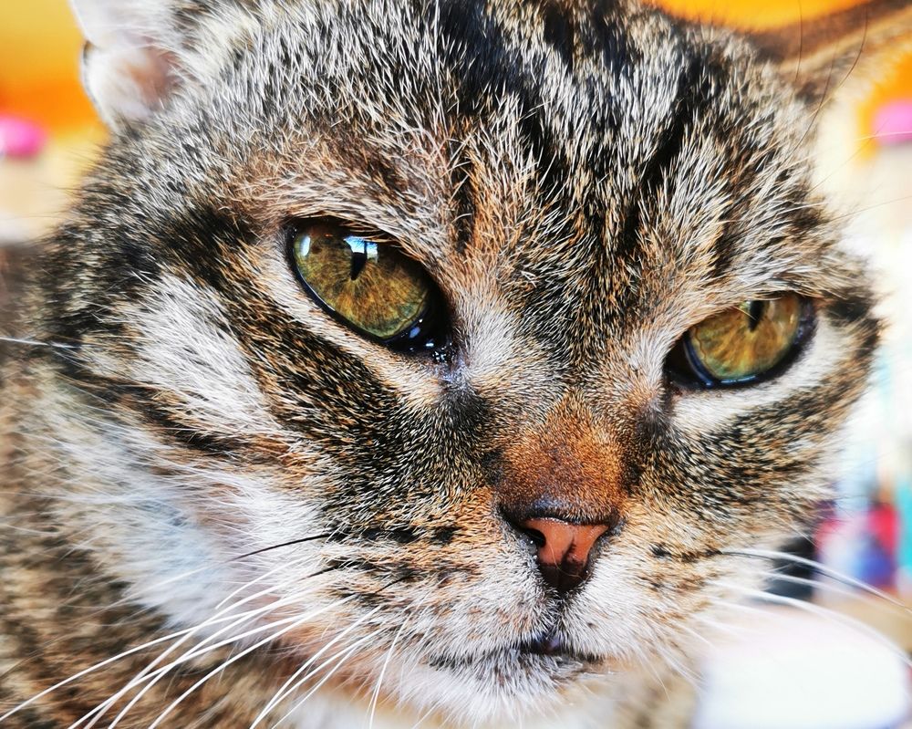 Photograph by Marie-Helene KUHN