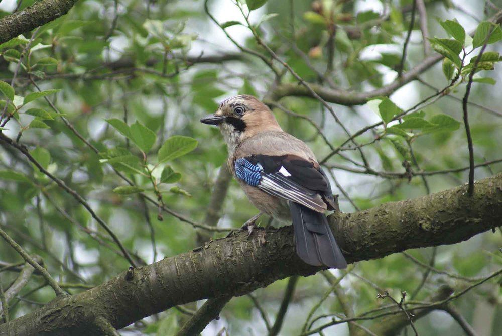 Photograph by Игорь Пшеничников