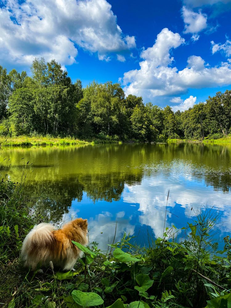Photograph by Виктория Лаур