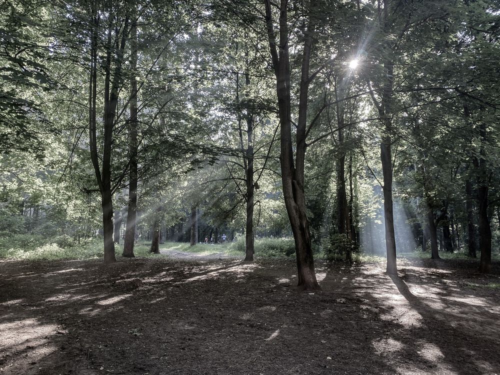 Photograph by Виктория Лаур