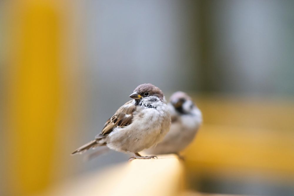 Фотография автора Котов Андрей