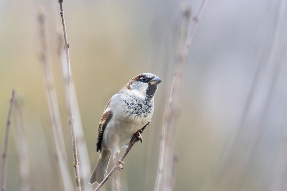 Фотография автора Котов Андрей