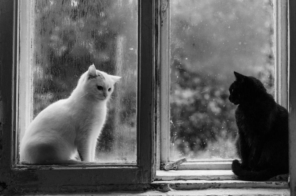 Photograph by Артём Шестаков