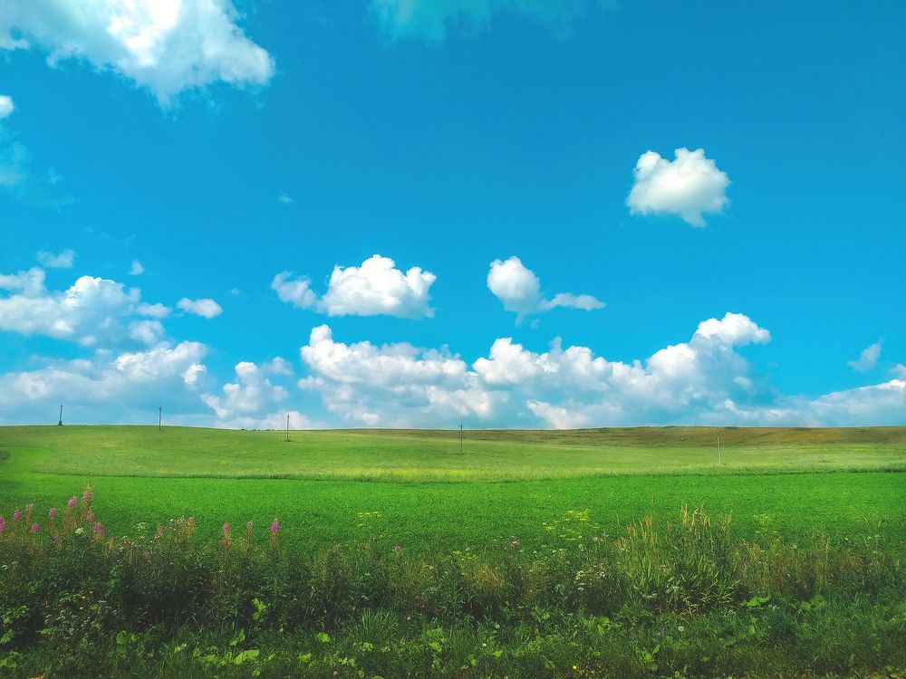 Фотография автора Котов Андрей