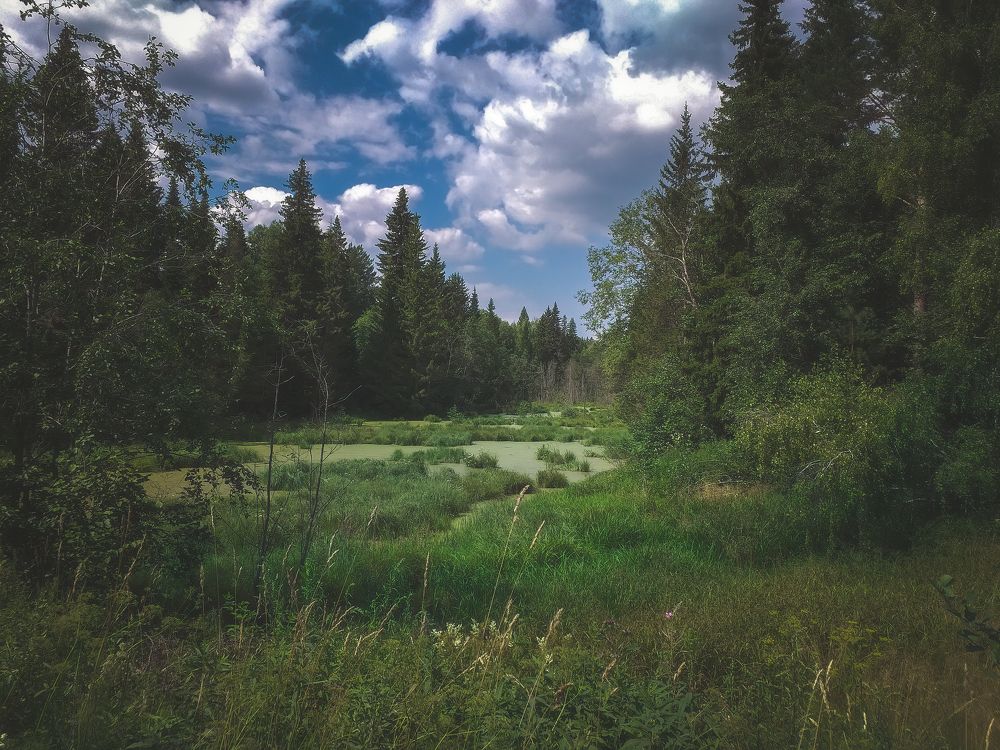 Фотография автора Котов Андрей