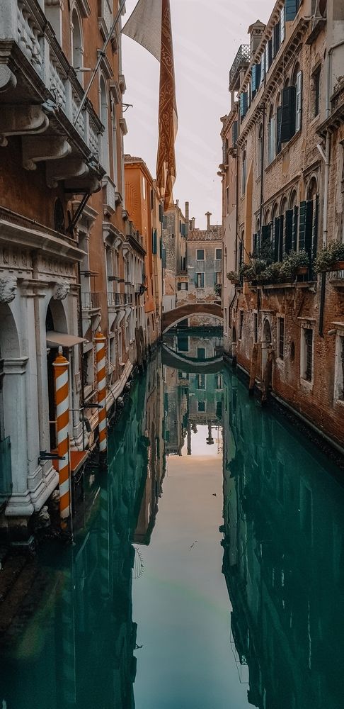 Photograph by Анастасия Голубева