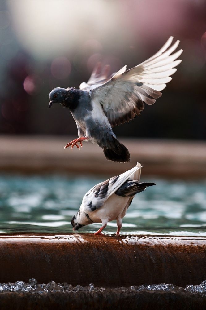 Photograph by Анастасия Голубева