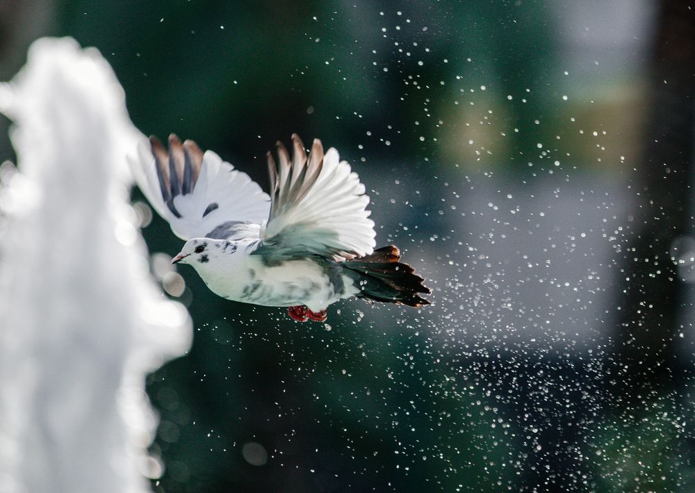 Photograph by Анастасия Голубева