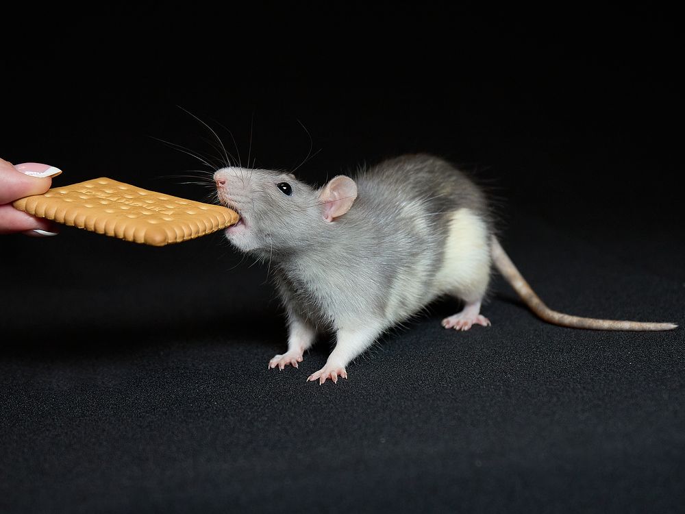 Photograph by Роман Гудзь