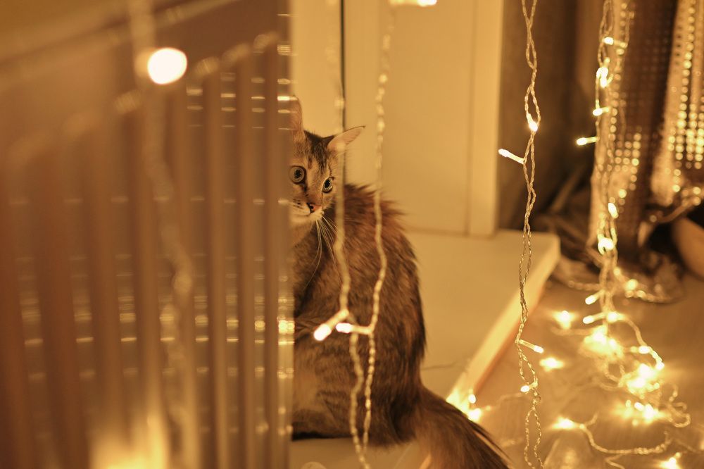 Photograph by Юлия Рыжавина