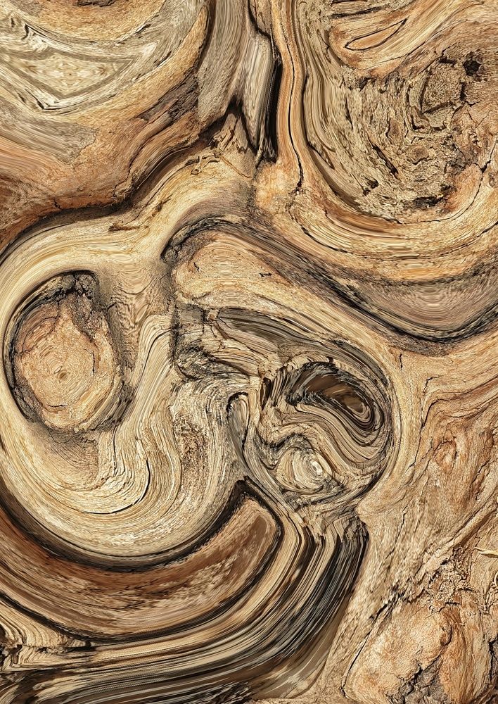 عالم في جذع شجرة