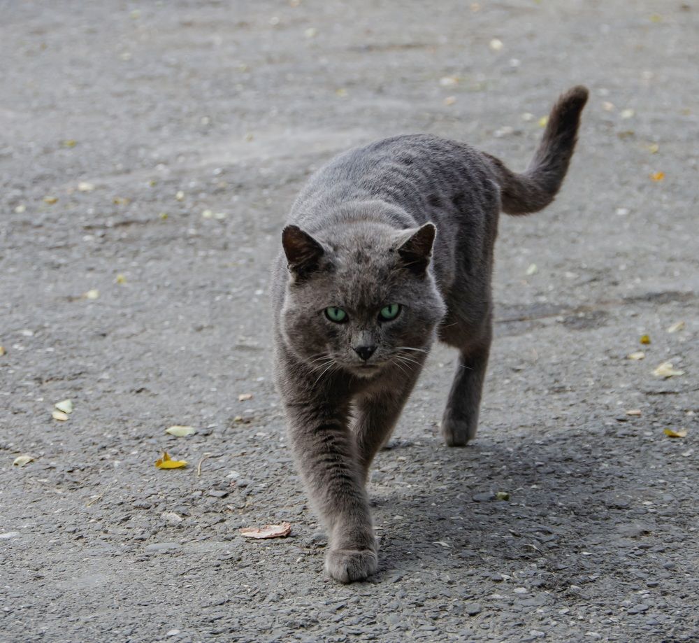 Photograph by Александра Гончаренко Александра Гончаренко