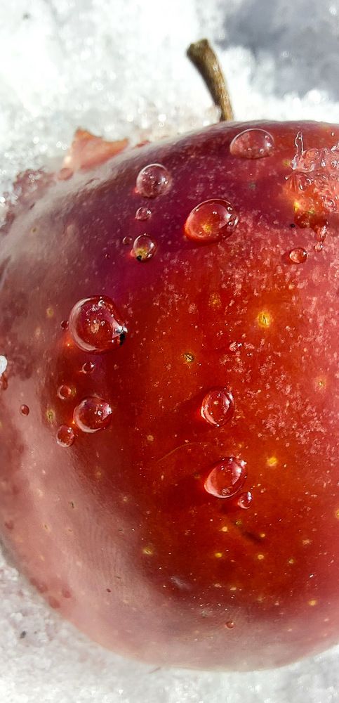 Photograph by Олеся Бекк