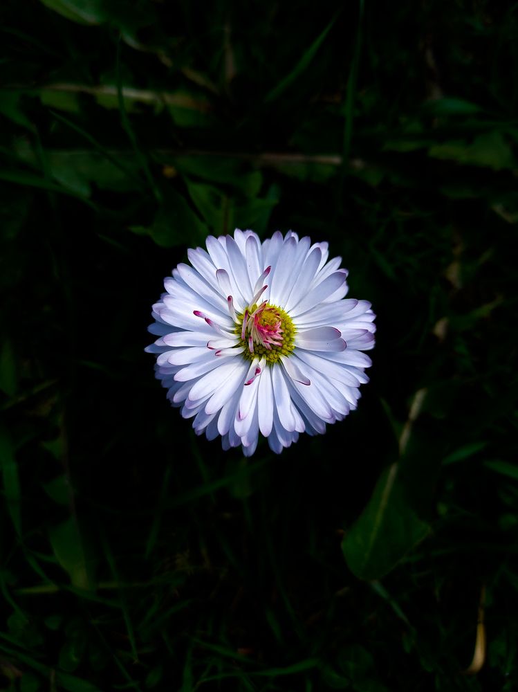 Photograph by Наталья Войтеховская