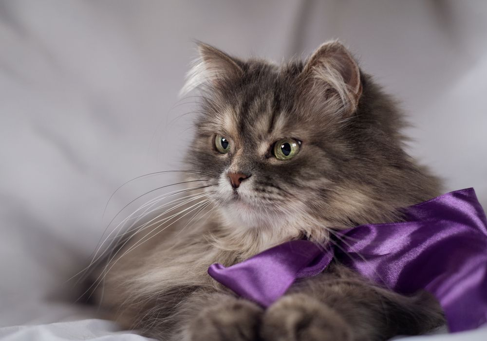 Photograph by Светлана Михеева