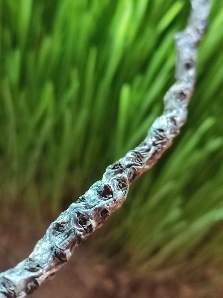 Фотография автора Subham Durgey