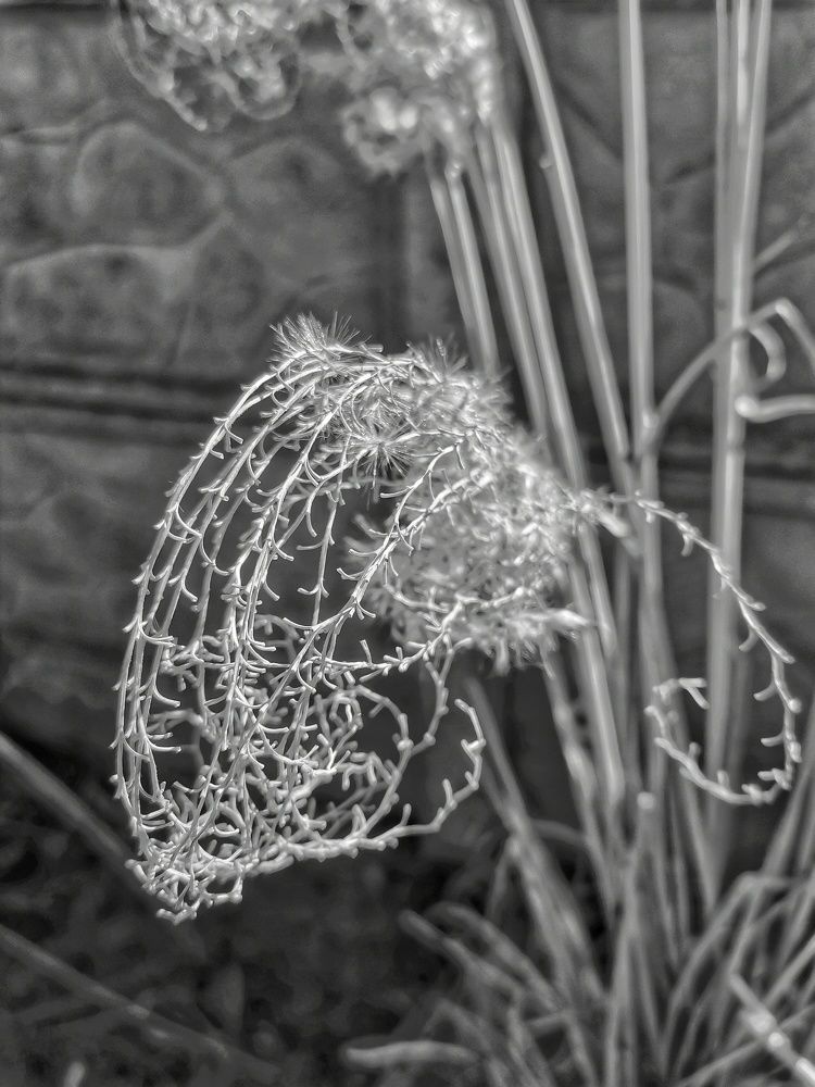 Photograph by Małgorzata Szymańska