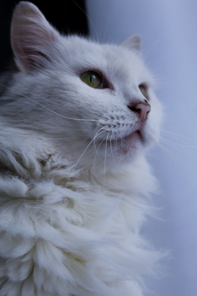 Photograph by Наталья Войтеховская