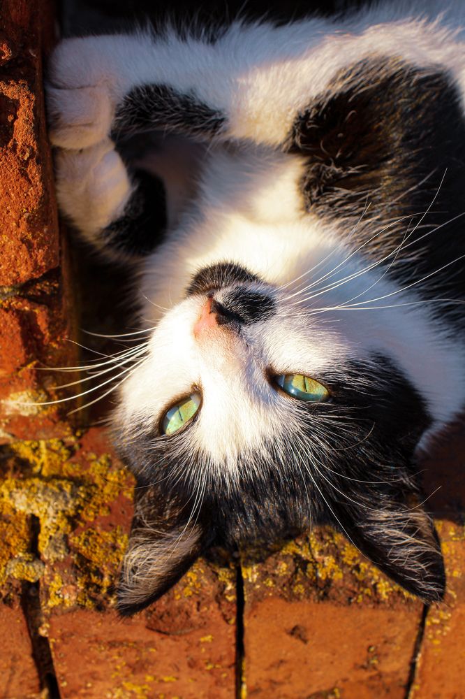 Photograph by Наталья Войтеховская