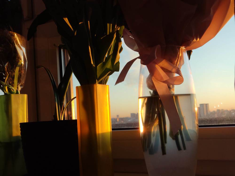 Photograph by Евгений Королев