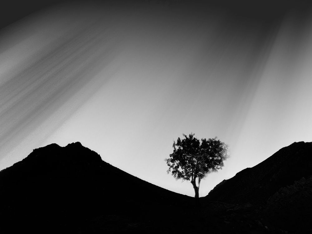 Photograph by Hannaneh Akhoondi