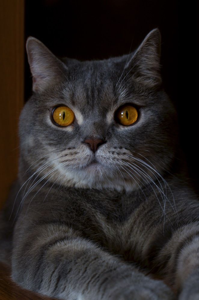 Photograph by Анастасия Чушкова