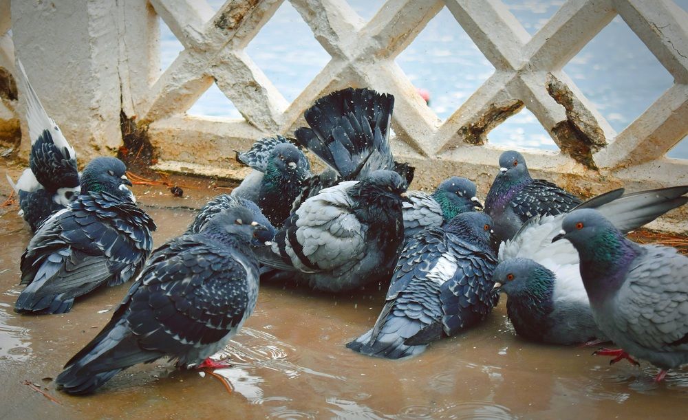 Photograph by Екатерина Гордеева