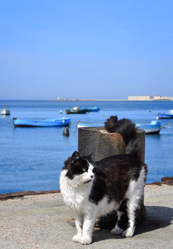 Photograph by Екатерина Гордеева