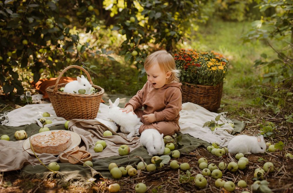 осенний урожай