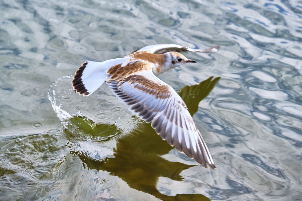 Photograph by Руслан Ибрагимов