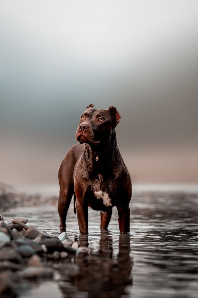 Photograph by Мария Мадзик