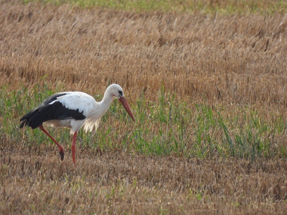 Photograph by Marie-Helene KUHN