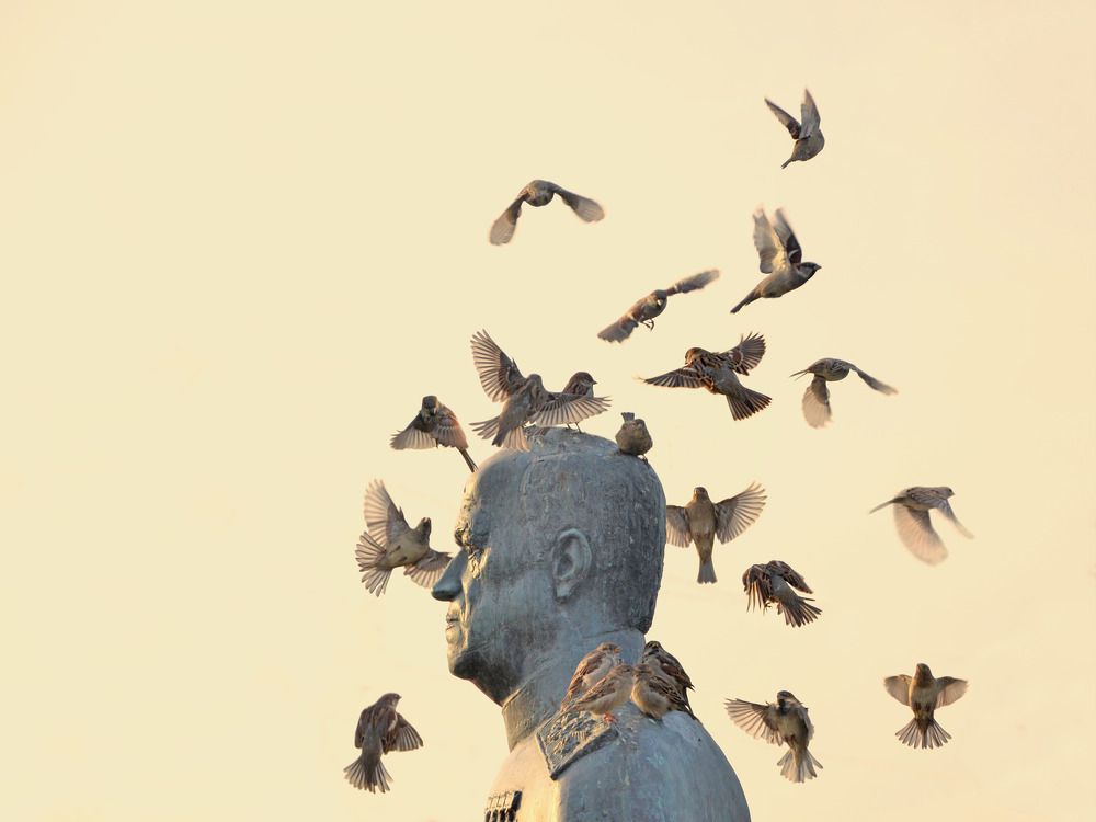 Photograph by Константин Мишнаевский