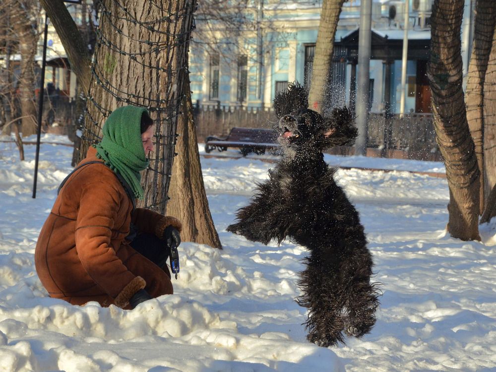 Photograph by Константин Мишнаевский