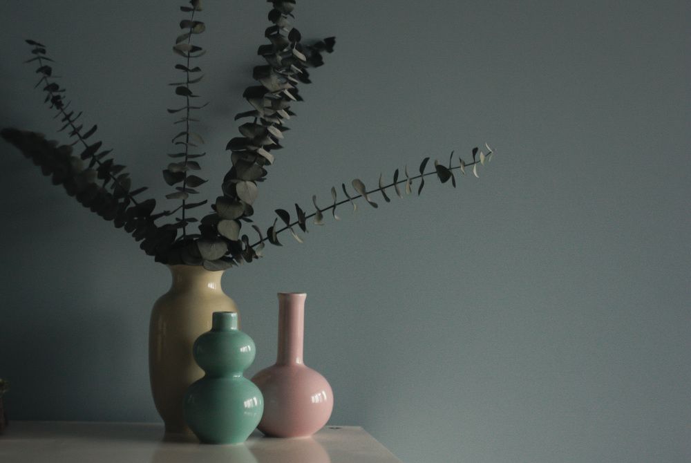 Photograph by Екатерина Нефедова