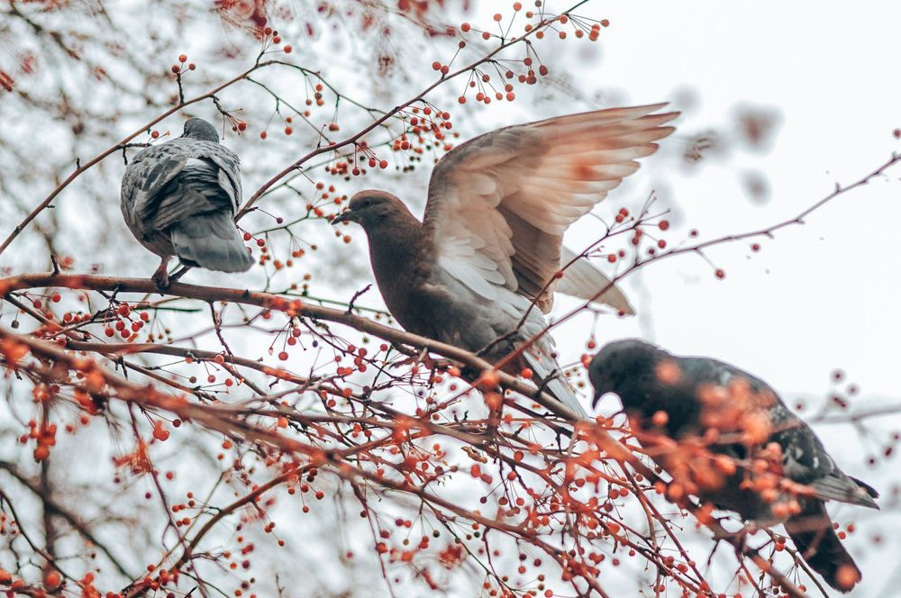 Photograph by Дарья Тарасова