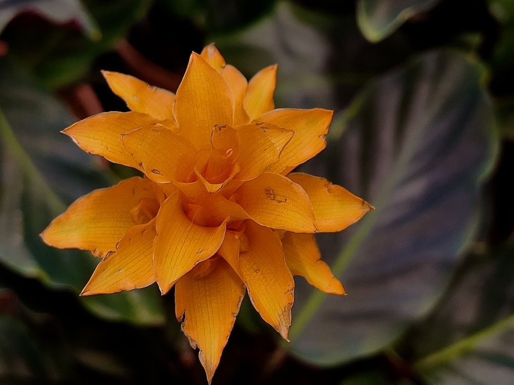 Photograph by Олег Кипкаев