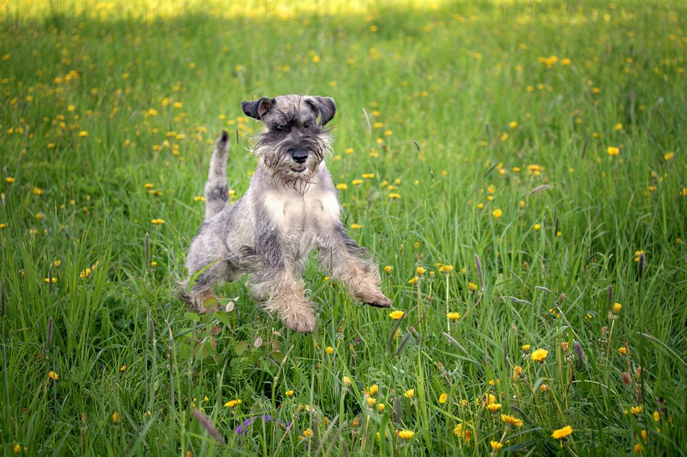 Photograph by Наталья Велиева