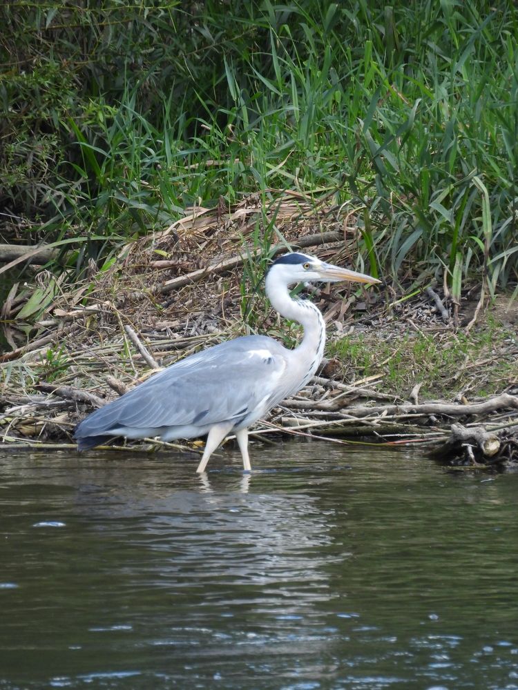 Photograph by Marie-Helene KUHN