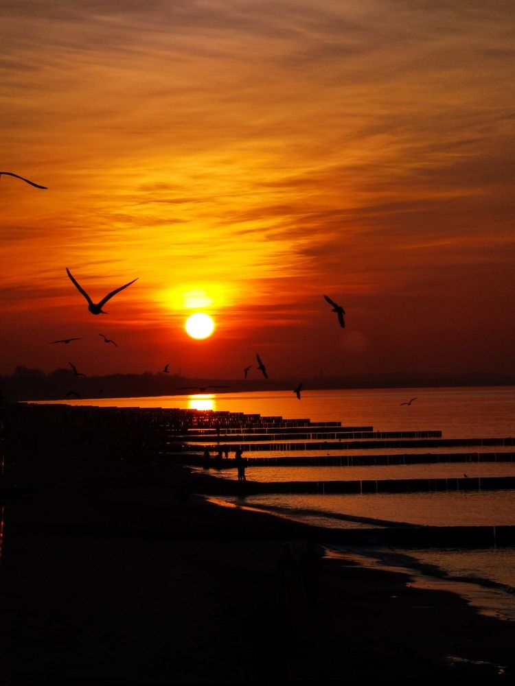 Photograph by Елизавета Лай